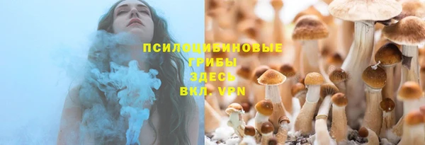 ешки Новокубанск