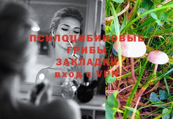 соль ск Бутурлиновка