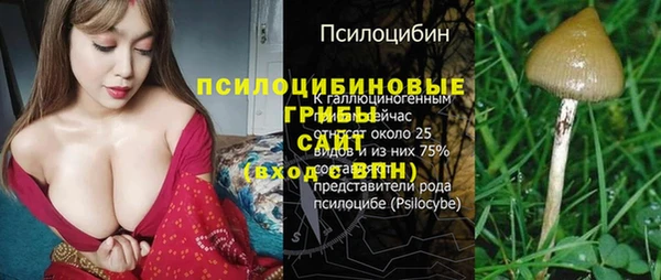 герыч Новодвинск